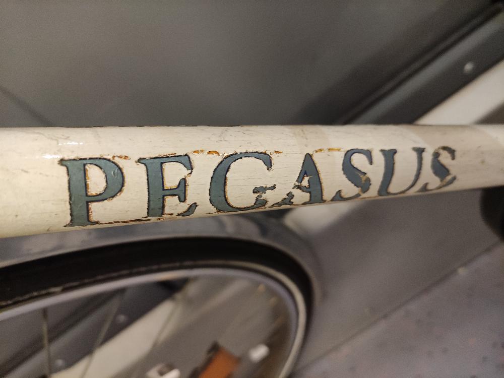 Fahrrad verkaufen PEGASUS Pegasus Ankauf